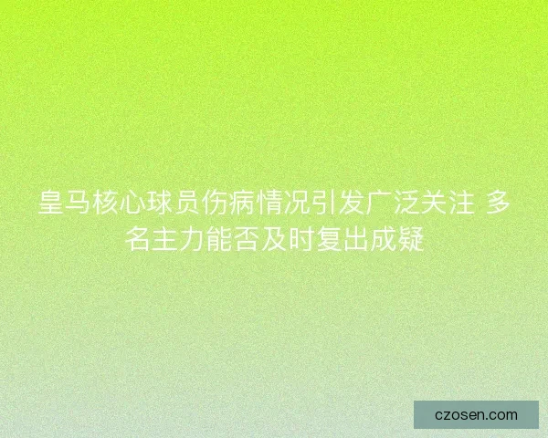 皇马核心球员伤病情况引发广泛关注 多名主力能否及时复出成疑