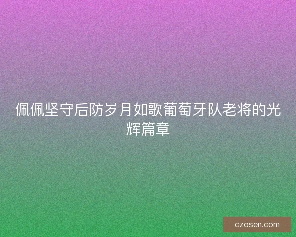 佩佩坚守后防岁月如歌葡萄牙队老将的光辉篇章